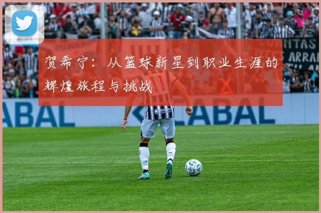 贺希宁：从篮球新星到职业生涯的辉煌旅程与挑战