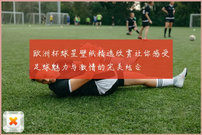 欧洲杯球星壁纸精选欣赏让你感受足球魅力与激情的完美结合